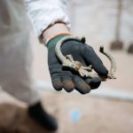 The metal handle of a coffin decorated with a skull in the hand of an archaeologist who made the find during excavations at The New Church