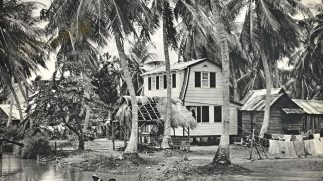 Beeldmateriaal De Grote Suriname-tentoonstelling