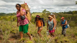 Hedendaags leven van Surinaamse inheemsen